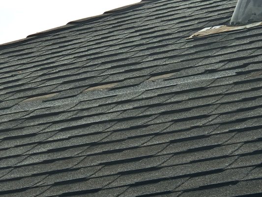 Tucker's Home Services — close-up of damaged asphalt shingles with missing tabs identified during a roof inspection